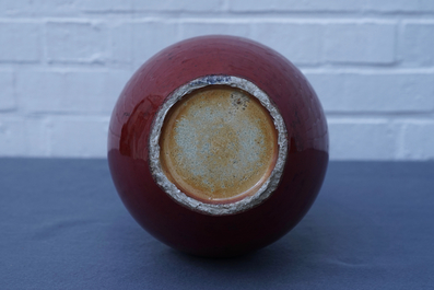 Een Chinese flesvormige sang de boeuf vaas, 19e eeuw